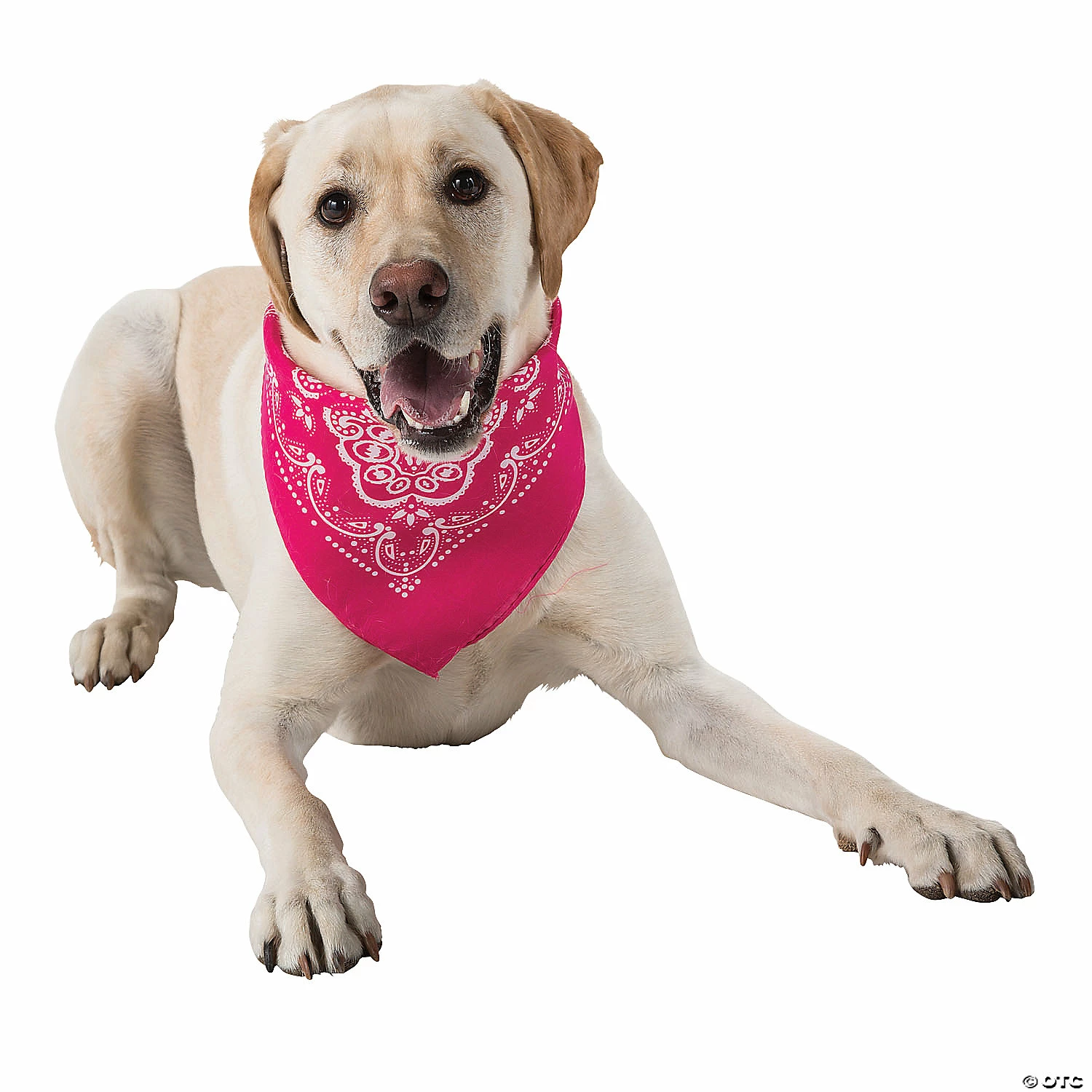 Best Sale ✔️ Neon Bandanas - 12 Pc. 🌟 4 Best Sale ✔️ Neon Bandanas - 12 Pc. 🌟 - Image 2